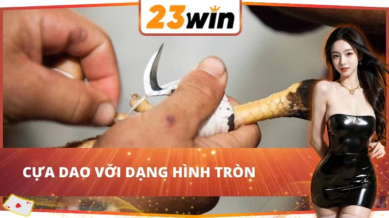 Đá Gà Cựa Dao 23WIN Với Vô Vàn Trận Chiến Chọi Gà Nảy Lửa 4 Đá Gà Cựa Dao 23WIN với dạng hình tròn