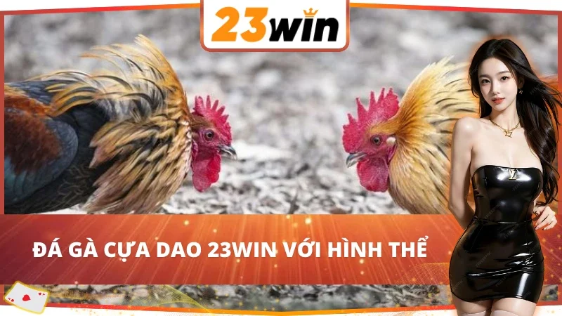 Đá Gà Cựa Dao 23WIN Với Vô Vàn Trận Chiến Chọi Gà Nảy Lửa 6 Yếu tố hình thể trong Đá Gà Cựa Dao 23WIN