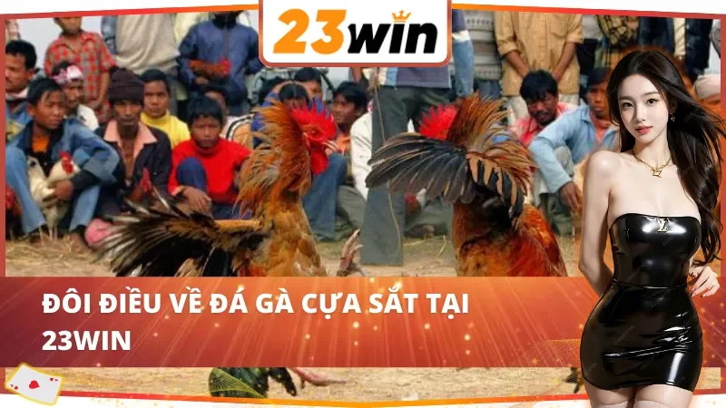 Đá Gà Cựa Sắt 23Win - Hình Thức Cá Cược Ăn Khách Bậc Nhất 2 Những nét cơ bản về đá gà cựa sắt