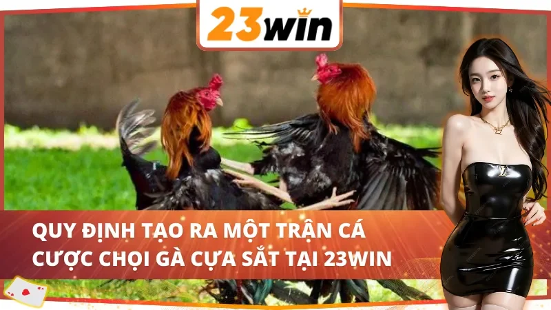 Đá Gà Cựa Sắt 23Win - Hình Thức Cá Cược Ăn Khách Bậc Nhất 3 Chi tiết các quy định về đá gà cựa sắt