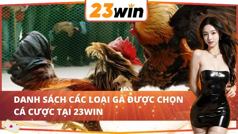 Đá Gà Cựa Sắt 23Win - Hình Thức Cá Cược Ăn Khách Bậc Nhất 4 Top các loại gà trong đá gà cựa sắt