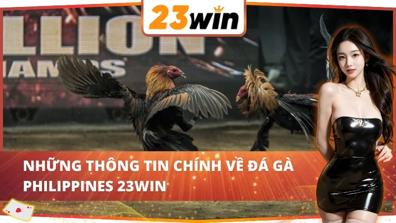 Đá Gà Philippines 23WIN - Với Những Trận Chiến Từ Chiến Kê 2 Tổng quan những điều thú vị về Đá Gà Philippines 23WIN