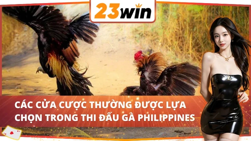 Đá Gà Philippines 23WIN - Với Những Trận Chiến Từ Chiến Kê 5 04 cửa cược hấp dẫn trong Đá Gà Philippines 23WIN