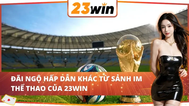 IM Thể Thao 23WIN – Cá Cược Đẳng Cấp Với Tỷ Lệ Kèo Minh Bạch 6 Quyền lợi đặc biệt khi chơi tại IM Thể Thao 23WIN