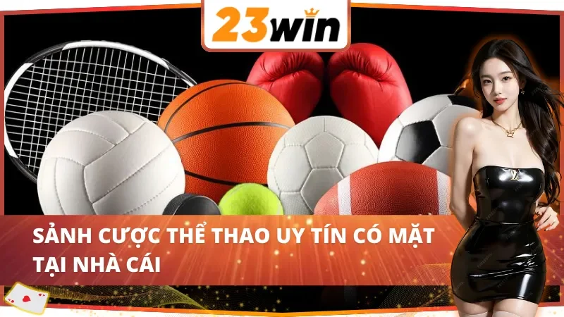Thể Thao 23WIN - Trải Nghiệm Sôi Động Với Những Trận Cầu Nảy Lửa 4 Top 3 nhà cung cấp chất lượng tại Thể Thao 23WIN