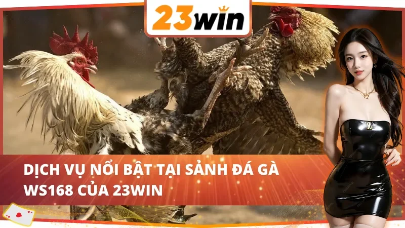 WS168 Đá Gà 23WIN – Trường Gà Sôi Động Cho Cược Thủ Đam Mê 3 Các lựa chọn nổi bật tại WS168 Đá Gà 23WIN