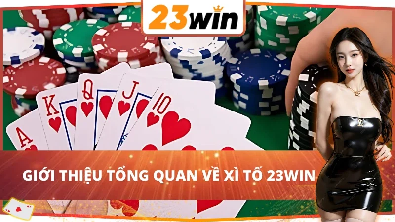 Xì Tố 23Win - Trải Nghiệm Game Bài Đẳng Cấp Nhất Hiện Nay 2 Giới thiệu tổng quan về game bài Xì Tố 23Win